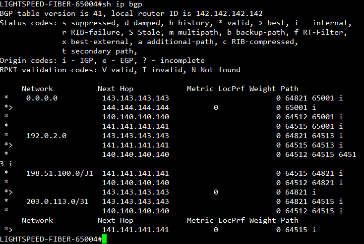 LIGHTSPEED-FIBER show ip bgp